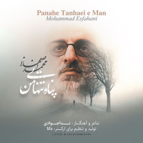 محمد اصفهانی دانلود آهنگ پناه تنهایی من