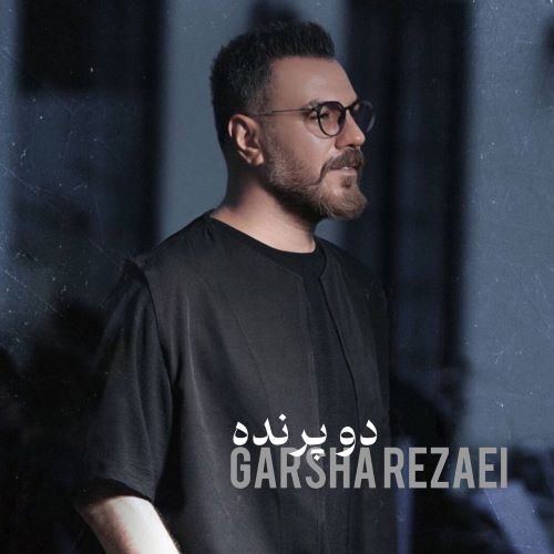 گرشا رضایی دانلود آهنگ دو پرنده